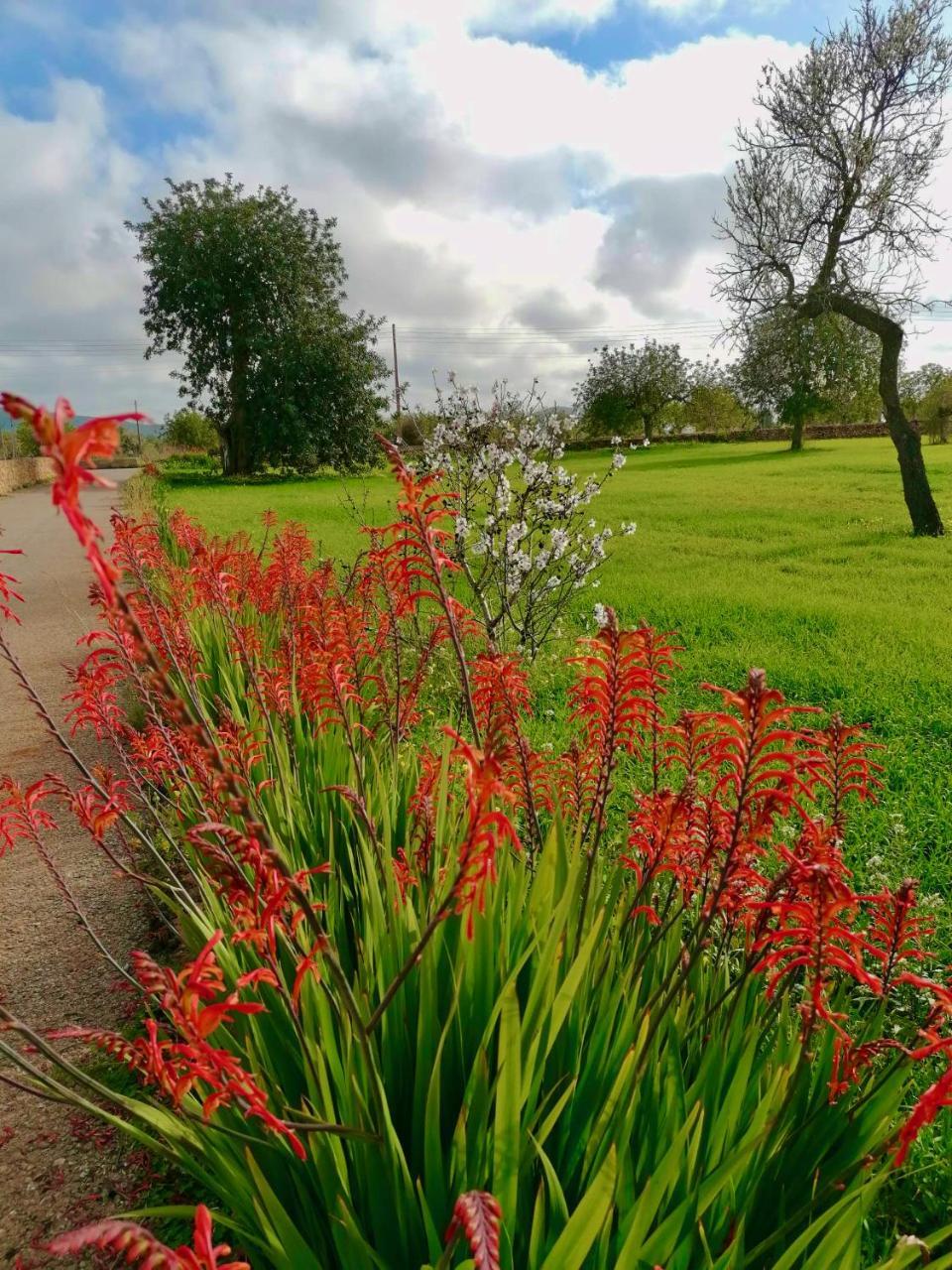 Cas Catala Sant Jordi in Sant Josep De Sa Talaia, Spain