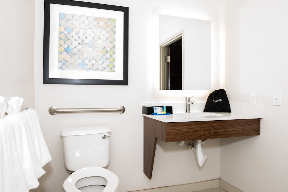 Holiday Inn Express & Suites Tampa USF Busch Gardens by IHG - photo 24