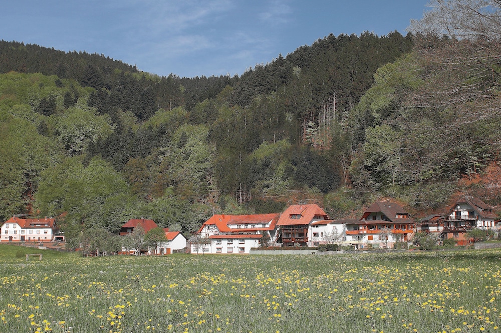 Ferienwohnung am Rain — 4-Star Luxury Hotel in Triberg, Germany