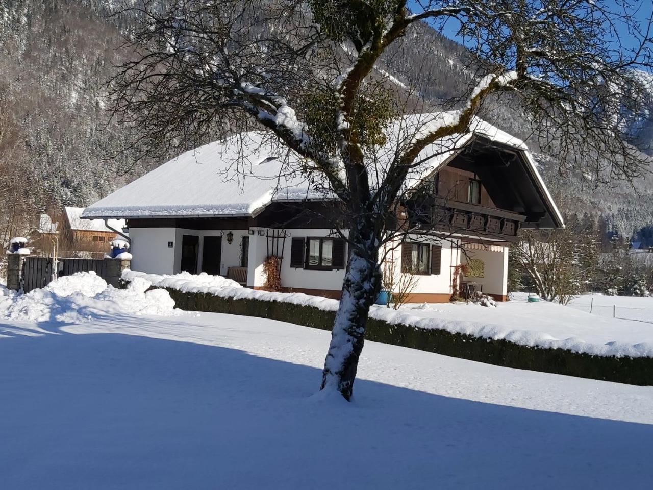 Seehof Royer - last minute hotel in Unknown City
