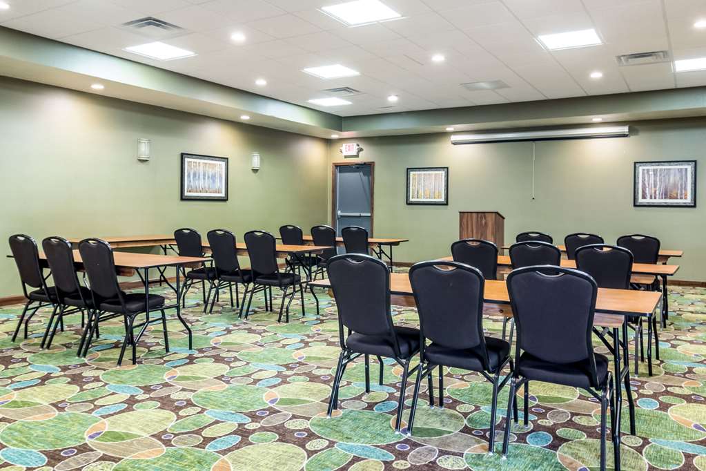 Comfort Inn & Suites Hannibal - photo 32