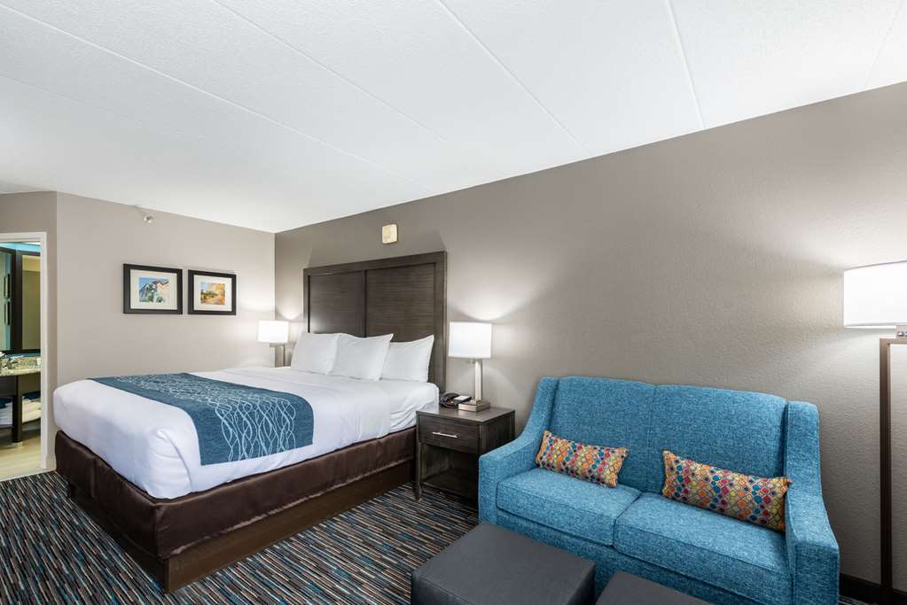 Comfort Inn Chicago Schaumburg O'Hare Airport - photo 10