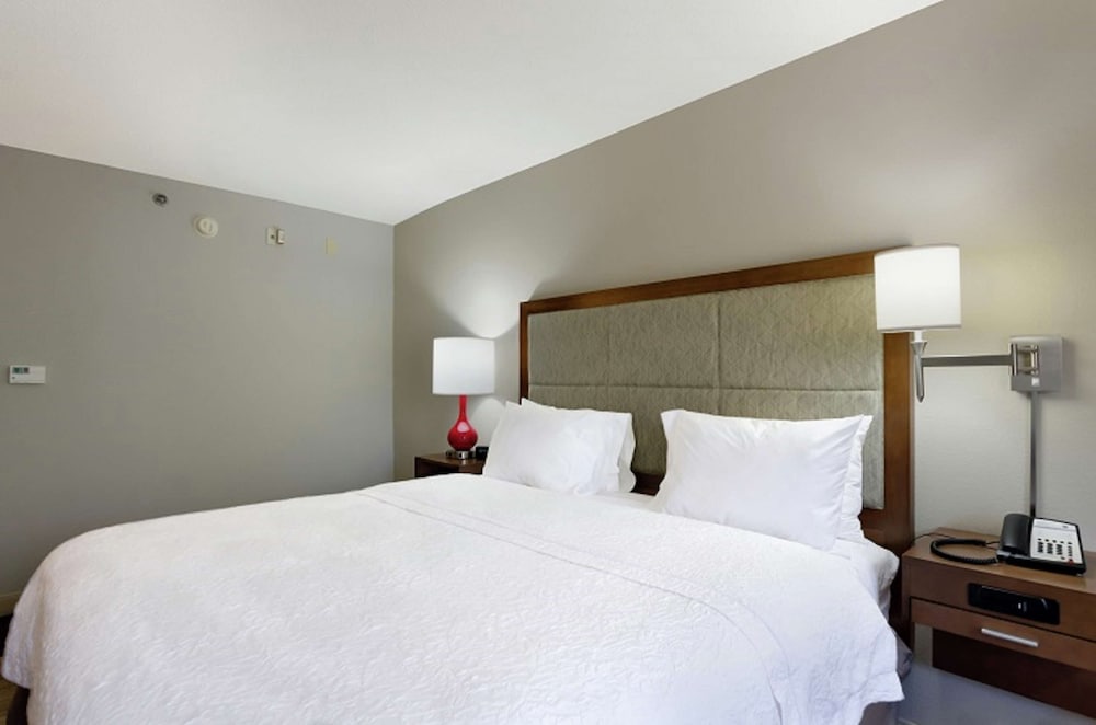 Hampton Inn Salem VA - photo 12