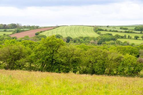 Shepherds hut with valley views — Bodmin — photo 5