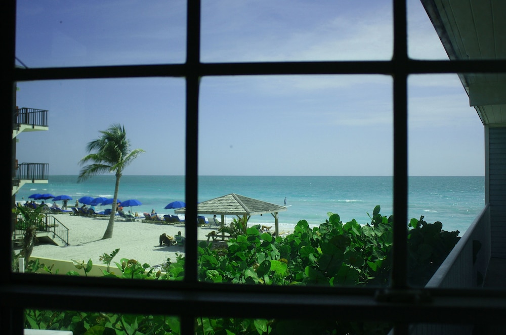 Coquina On The Beach - photo 39