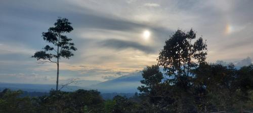 Estancia Café Cosecha Real — 4-Star Luxury Hotel in Silvania, Colombia