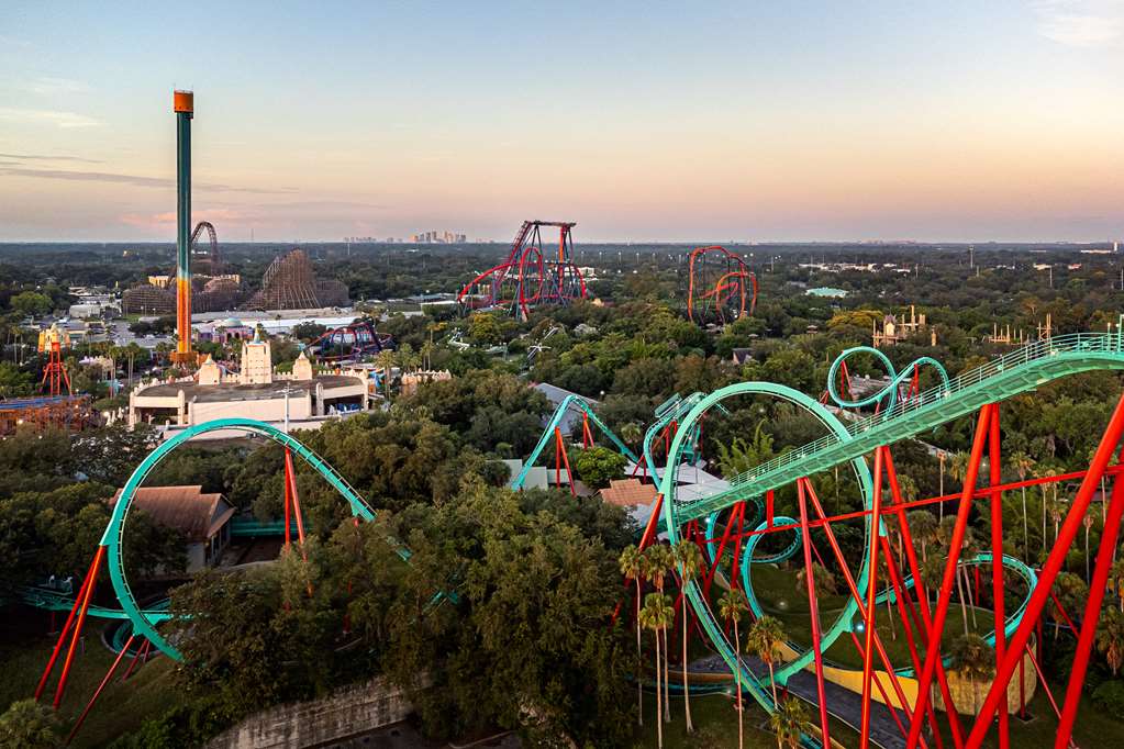 Hyatt Place Busch Gardens - photo 11