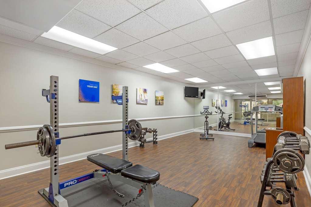 Comfort Suites Inn at Ridgewood Farm - photo 26
