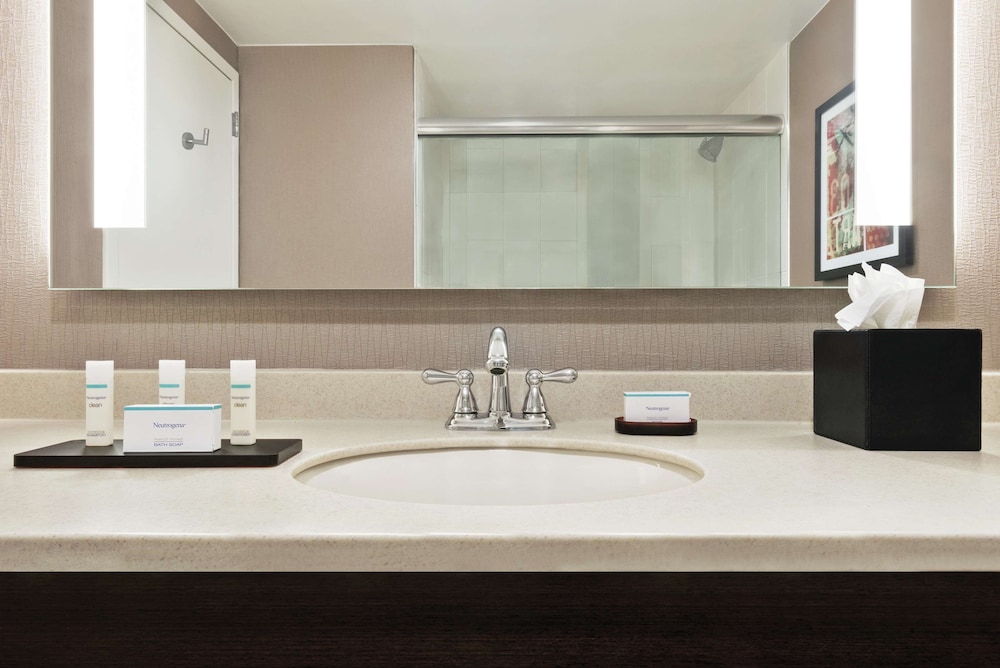 Embassy Suites by Hilton Chicago North Shore Deerfield - photo 34