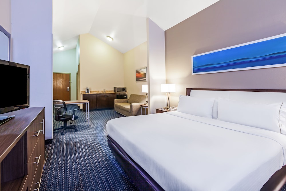Holiday Inn Express Hotel & Suites Pharr by IHG - photo 17
