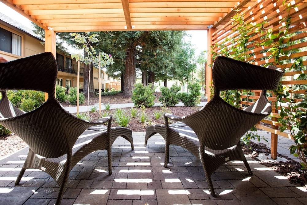 Napa Valley Marriott Hotel & Spa - photo 38