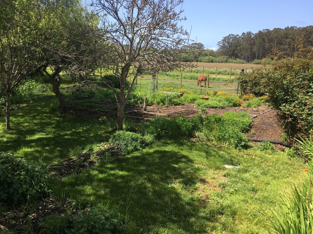 Pescadero Creek Inn - photo 16