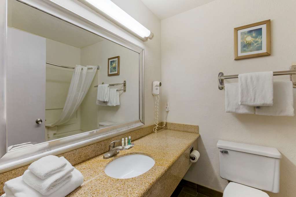 Quality Inn Alexis Rd - photo 19