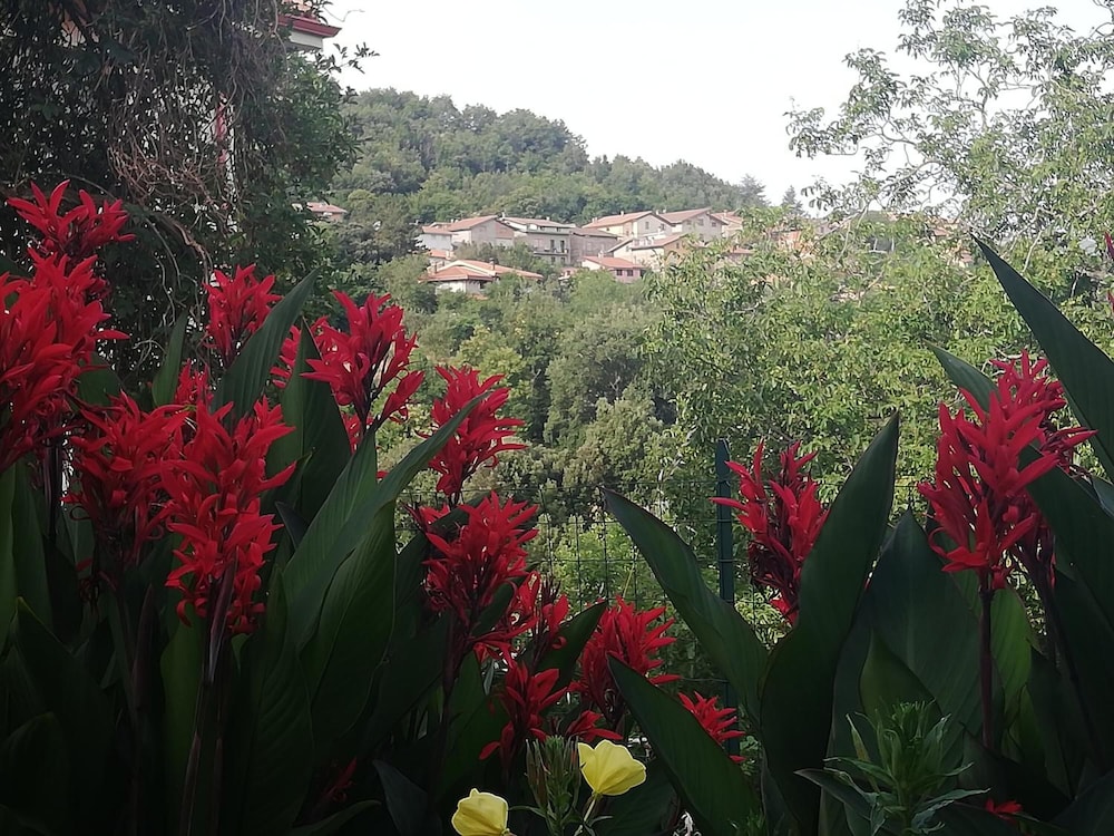 L'Agrifoglio — hotel in Aritzo