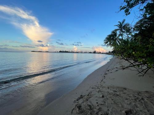Aqua by Dreams Hotel in Toa Baja, Puerto Rico