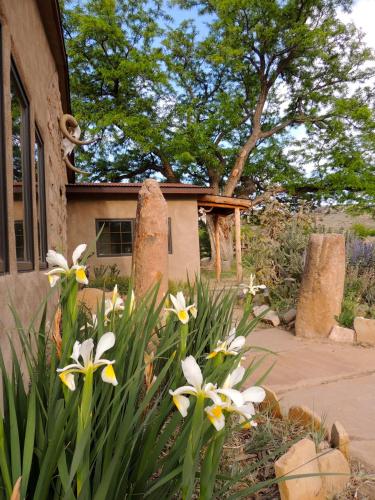 Canyon Of The Ancients Guest Ranch - photo 15