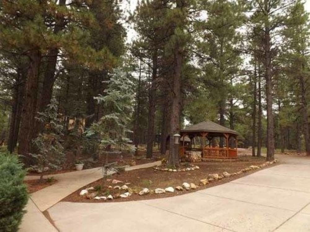 Arizona Mountain Inn and Cabins - photo 322