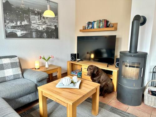 1006 Haus Seesternweg — 4-Star Luxury Hotel in Dahme, Germany