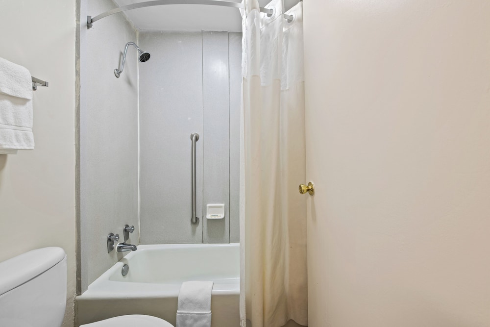 Hotel Francis - photo 19