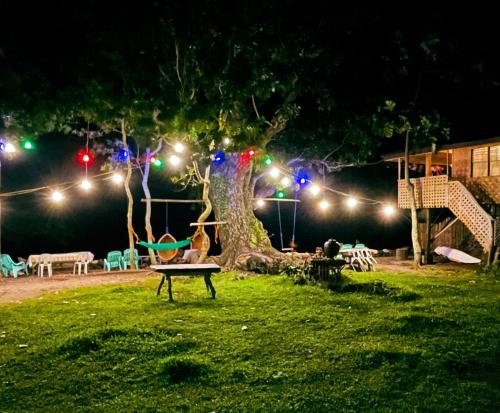 Borbons Treehouse By The Sea 17617934 — Mambajao