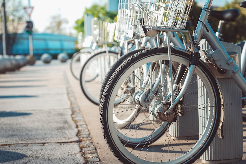 פעילויות וכושר