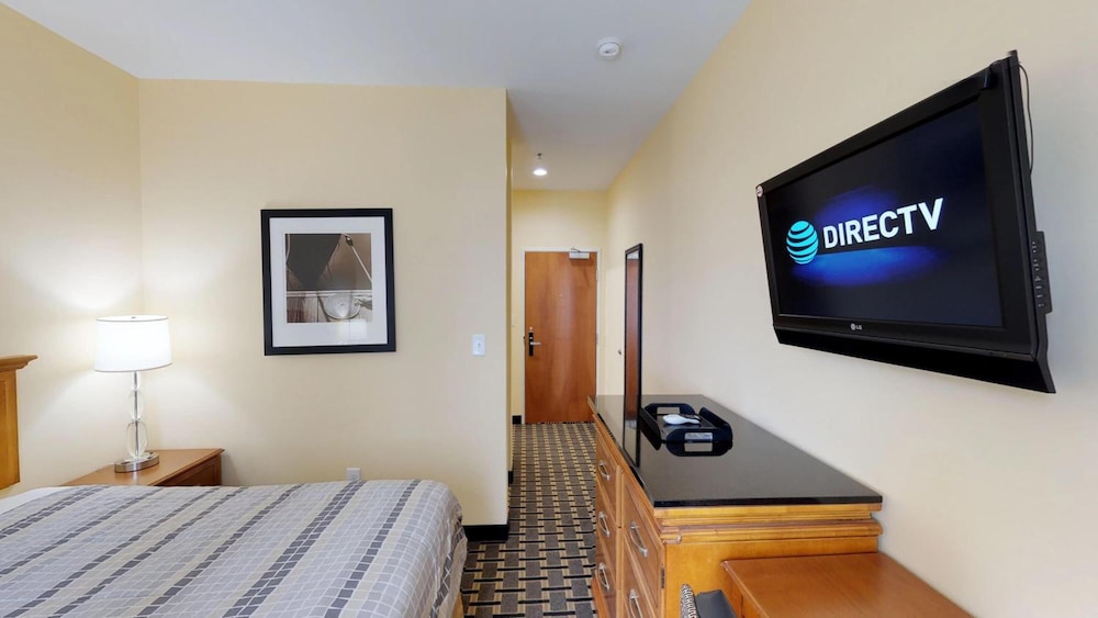 Mt. Rose Hotel - photo 17
