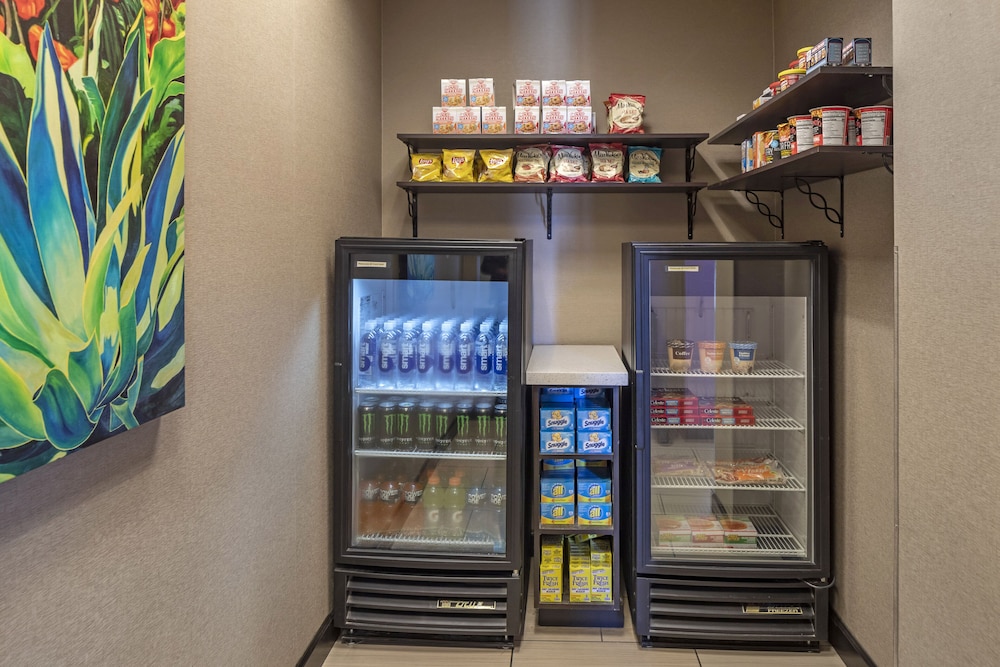 Holiday Inn Express & Suites Indio Coachella Valley by IHG - photo 52