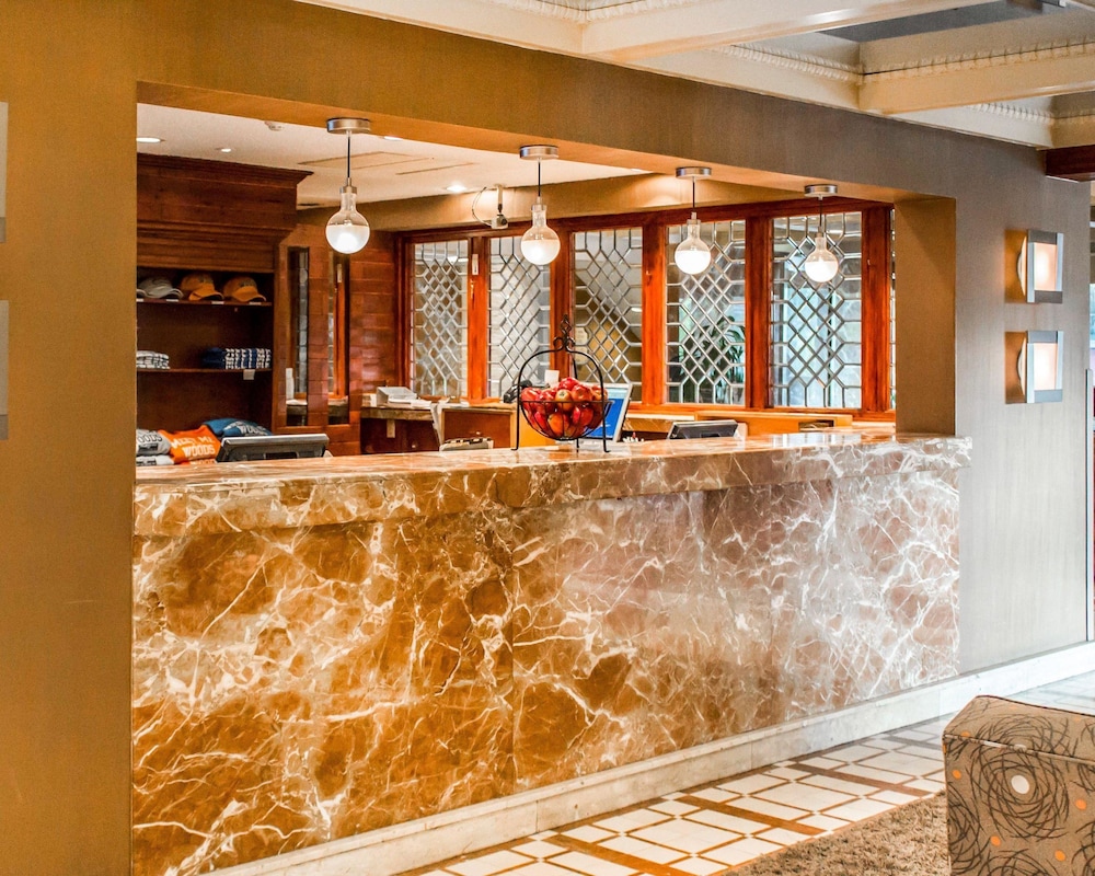 The Woodlands Inn - photo 3