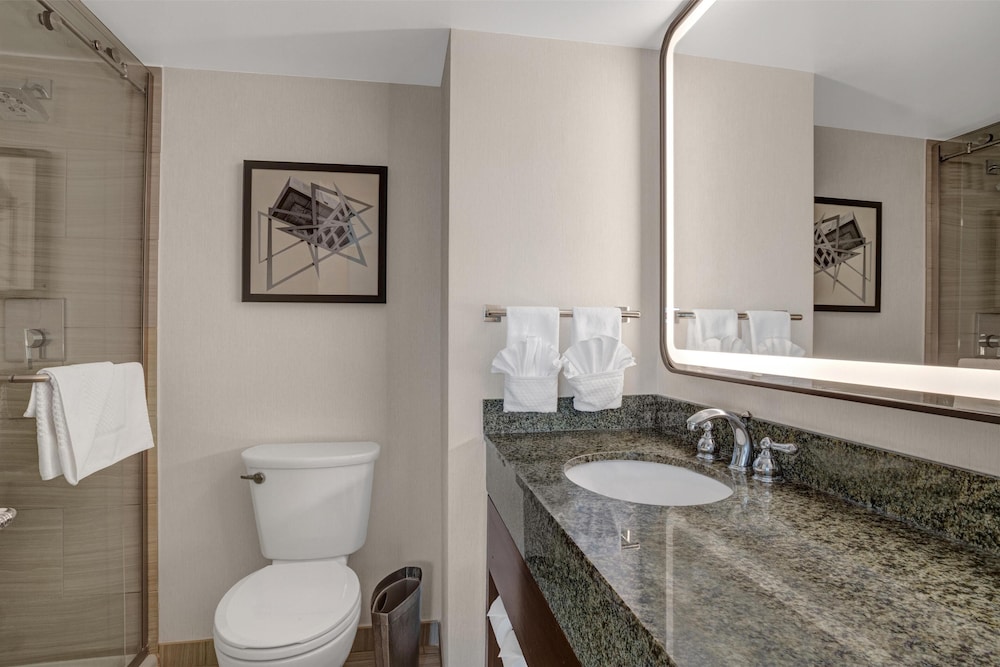 Hilton Arlington National Landing - photo 91