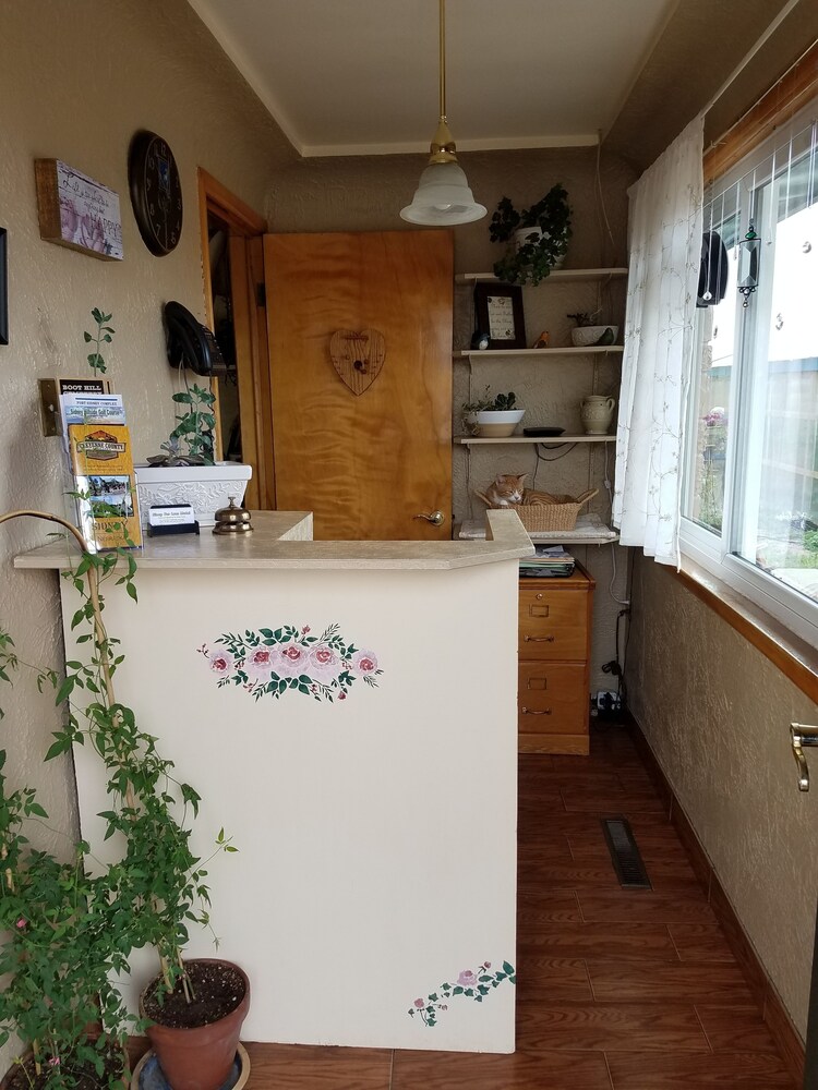 Sleep For Less Motel — Sidney — photo 4