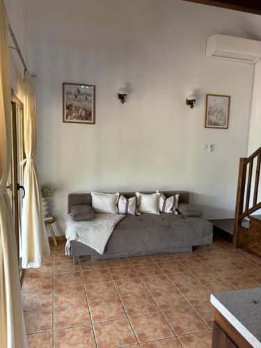 Cabana Wonderland — Paulis
