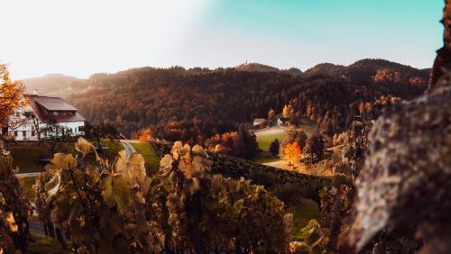 Ferienwohnung OberGuess — 4-Star Luxury Hotel in Leutschach, Austria