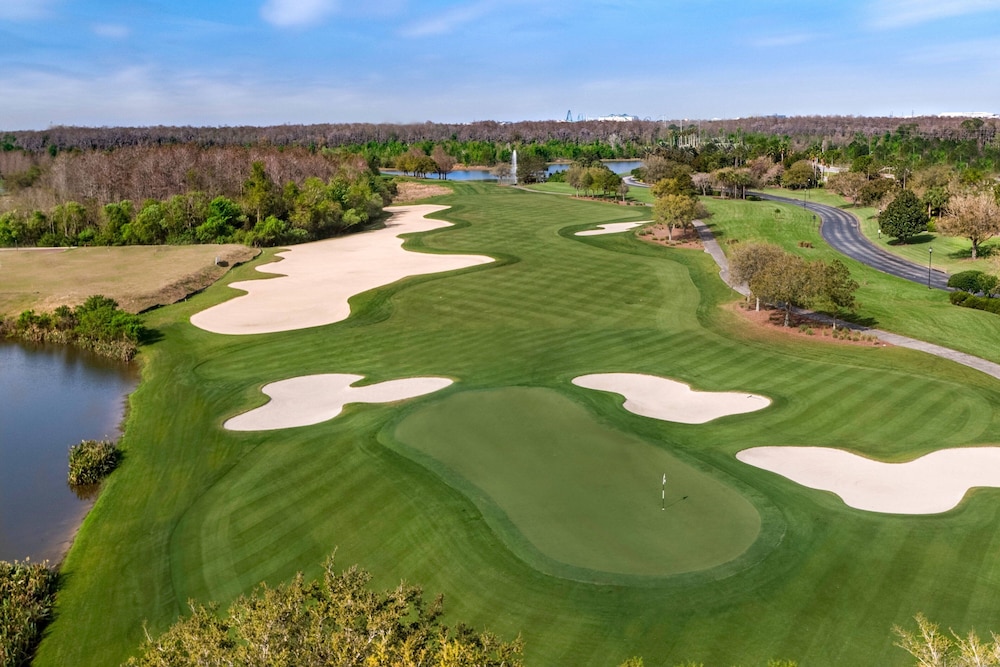 The Ritz Carlton Orlando Grande Lakes - photo 105