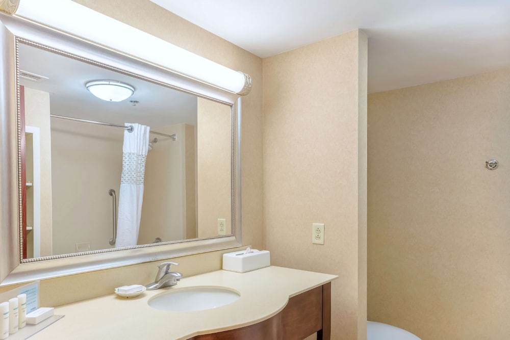 Hampton Inn Madison Huntsville Airport - photo 27