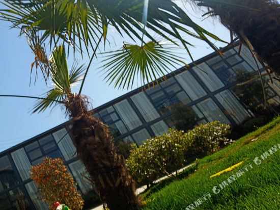 Ginkgo tree Courtyard Hotel in Kaifeng, People's Republic of China