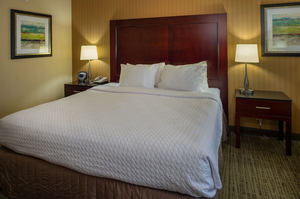 Crowne Plaza St. Louis Airport by IHG - photo 17