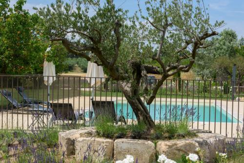 Domaine du Mas Foucray in Saint-Remy-De-Provence, France