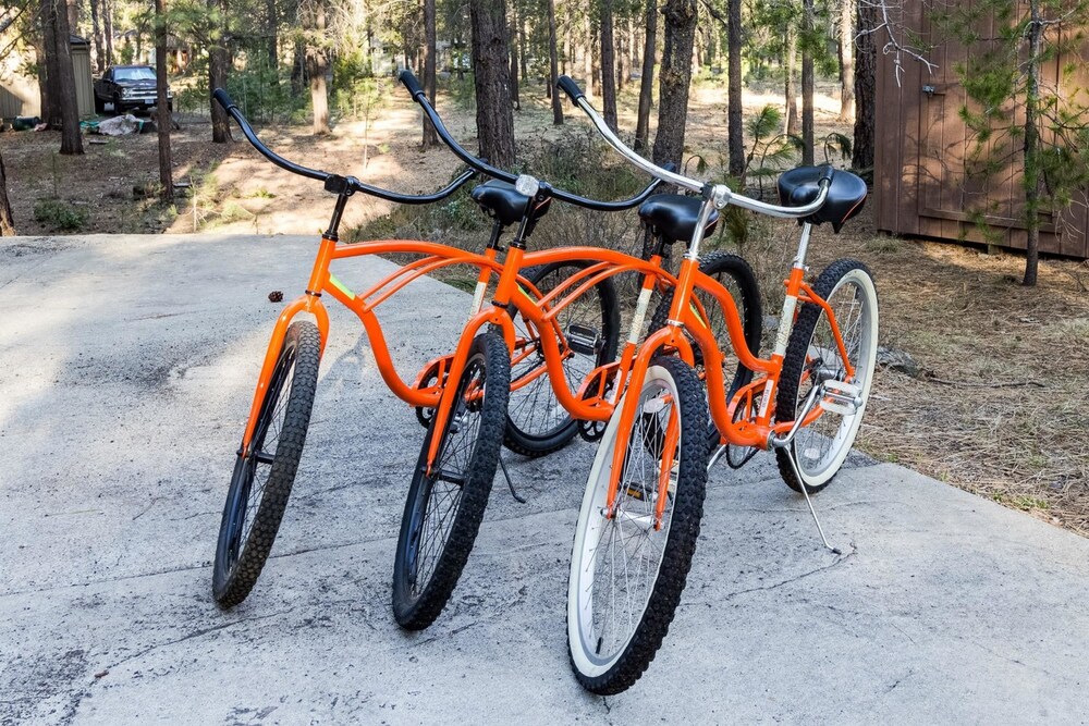 Coyote 20 - photo 11