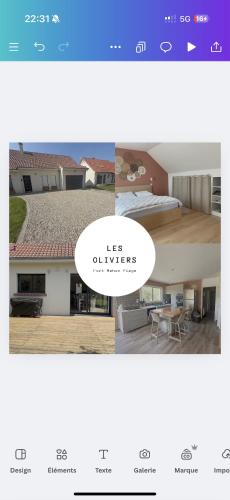 Les Oliviers — Fort Mahon Plage