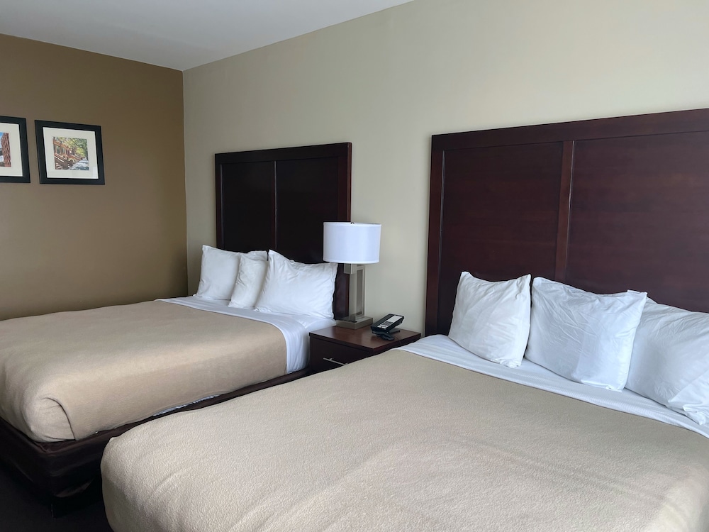 Lotus BLU Inn & Suites - photo 11