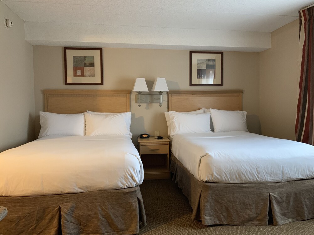 Candlewood Suites Wilson by IHG - photo 11