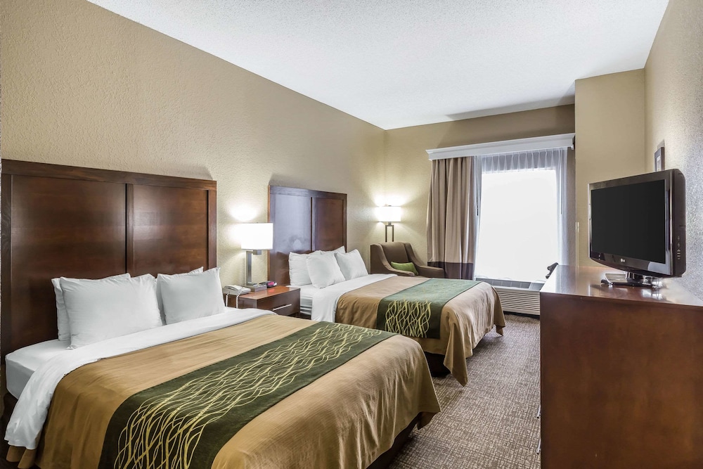 Comfort Inn Kingsport Southeast - photo 28