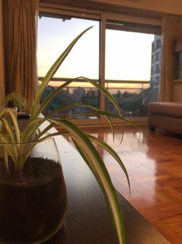 Departamento ROMA 3 Ambientes — 4-Star Luxury Hotel in Bahia Blanca, Argentina