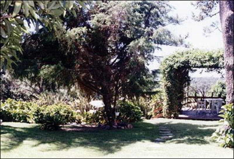 L’ete in Punta Del Este, Uruguay