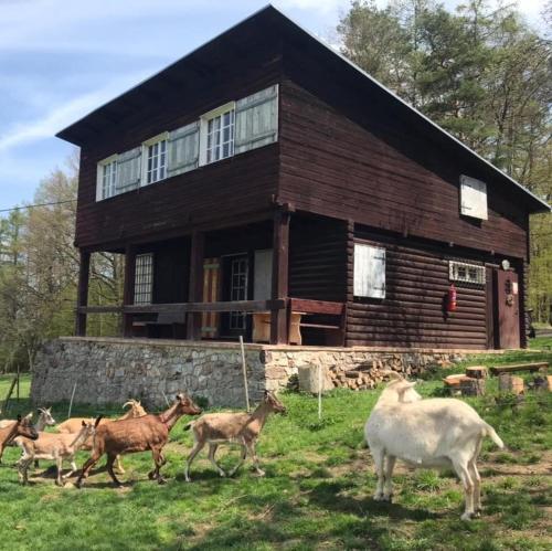 Chata s duší in Beroun, Czech Republic