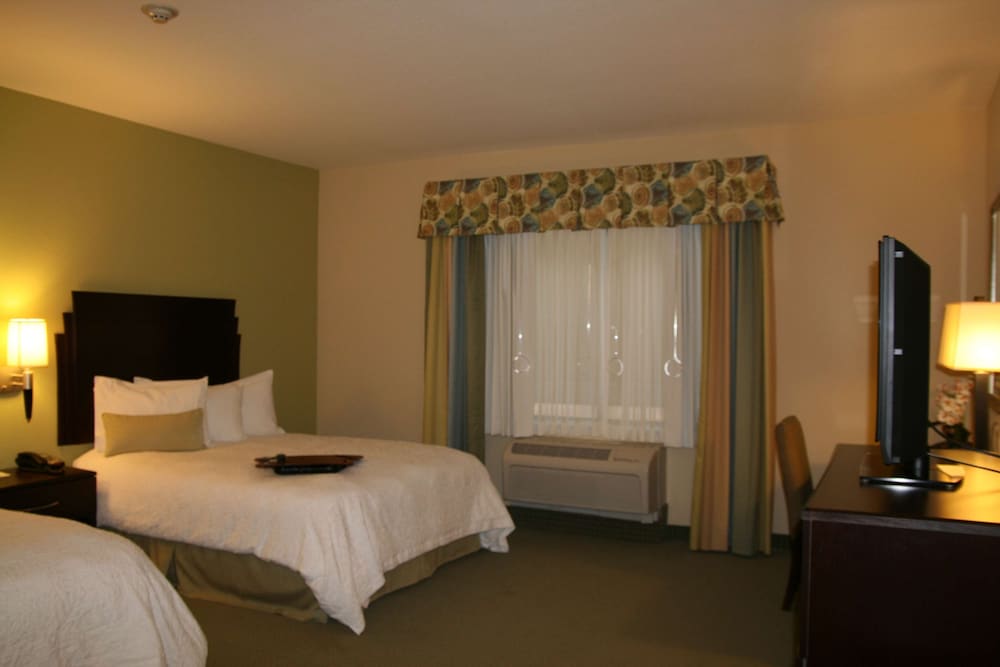 Hampton Inn Alpine - photo 3