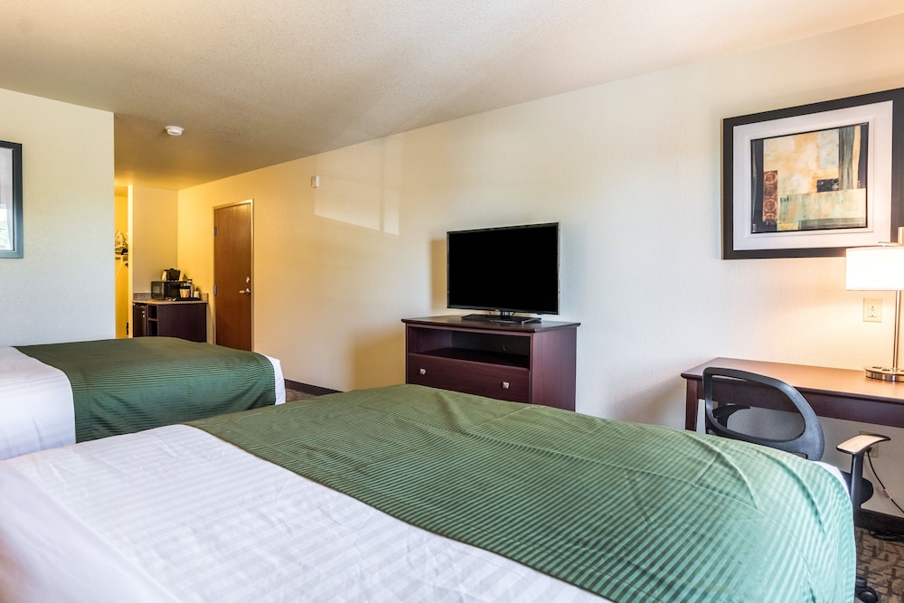 Cobblestone Hotel & Suites Greenville - photo 27
