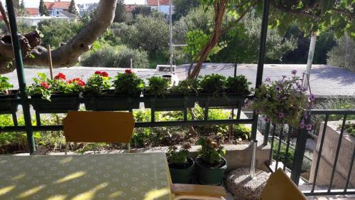 Apartmani Sandra Prpić — Rab — photo 2