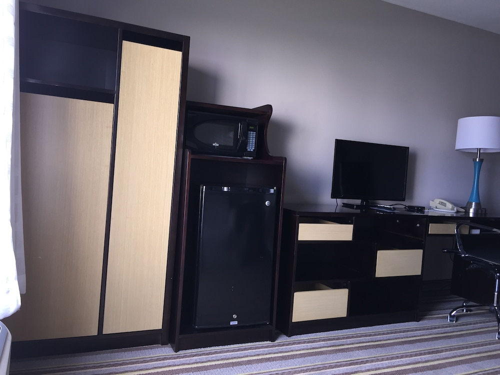 Delavan Inn and Suites - photo 15