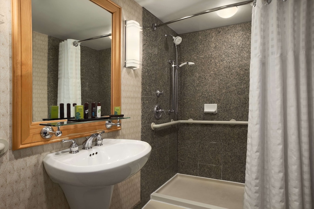 Embassy Suites by Hilton Chicago O'Hare Rosemont - photo 19